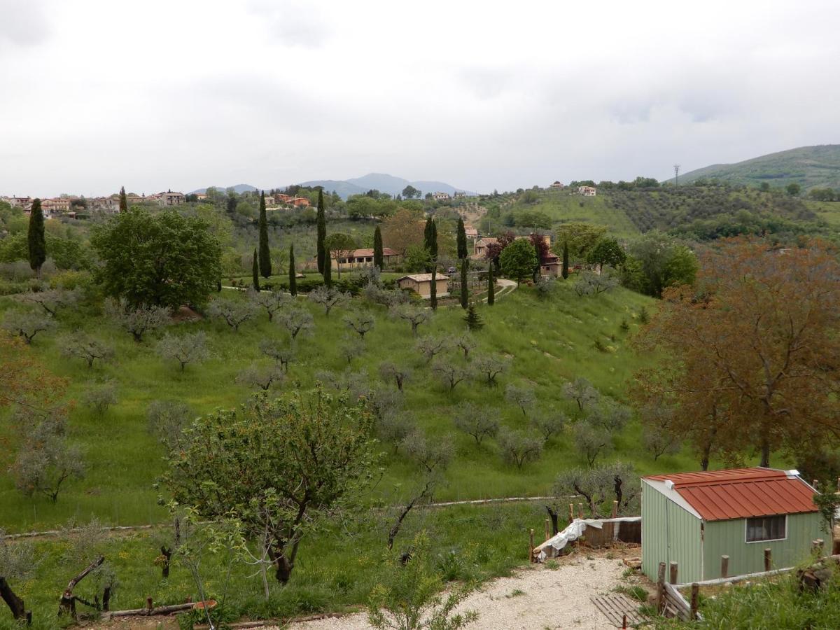 Bed and Breakfast Il Gelsomino Frasso Sabino Exterior foto